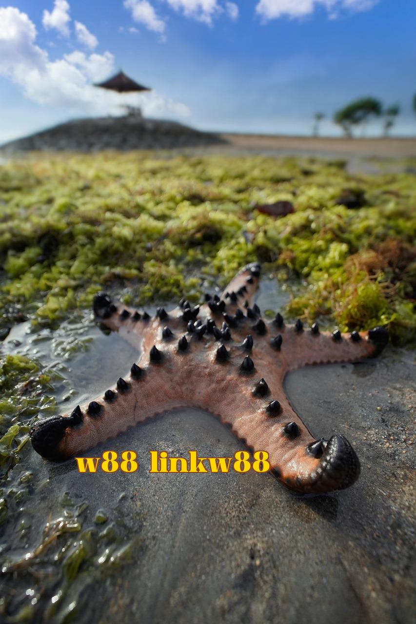 Featured image of post Jona Du ngoạn vũ trụ - tải game nỗ hũ