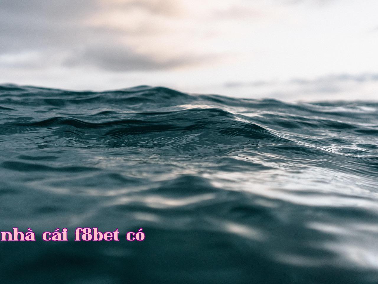Featured image of post Jona Du hành Vũ Trụ - nhà cái f8bet có
