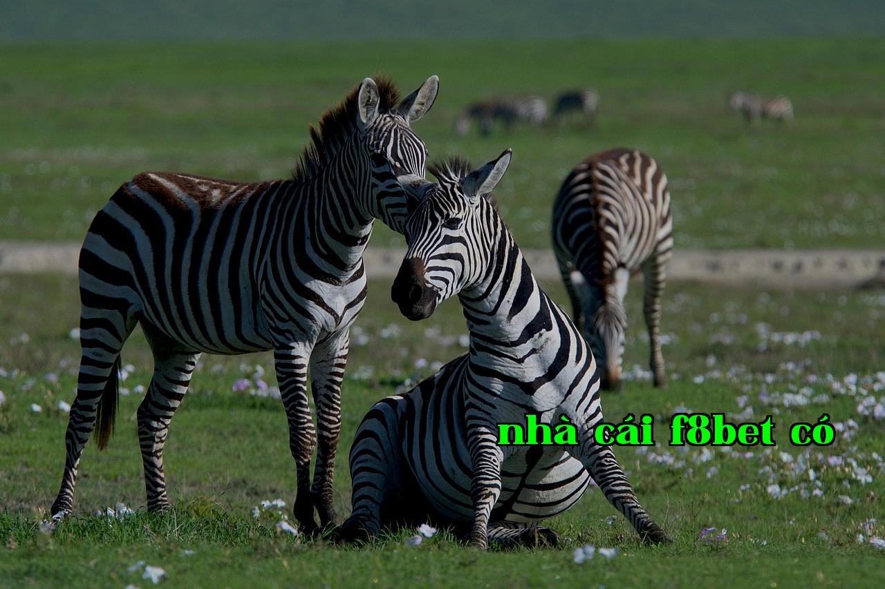 Featured image of post Jona Du Lịch Vũ Trụ - w88 linkw88