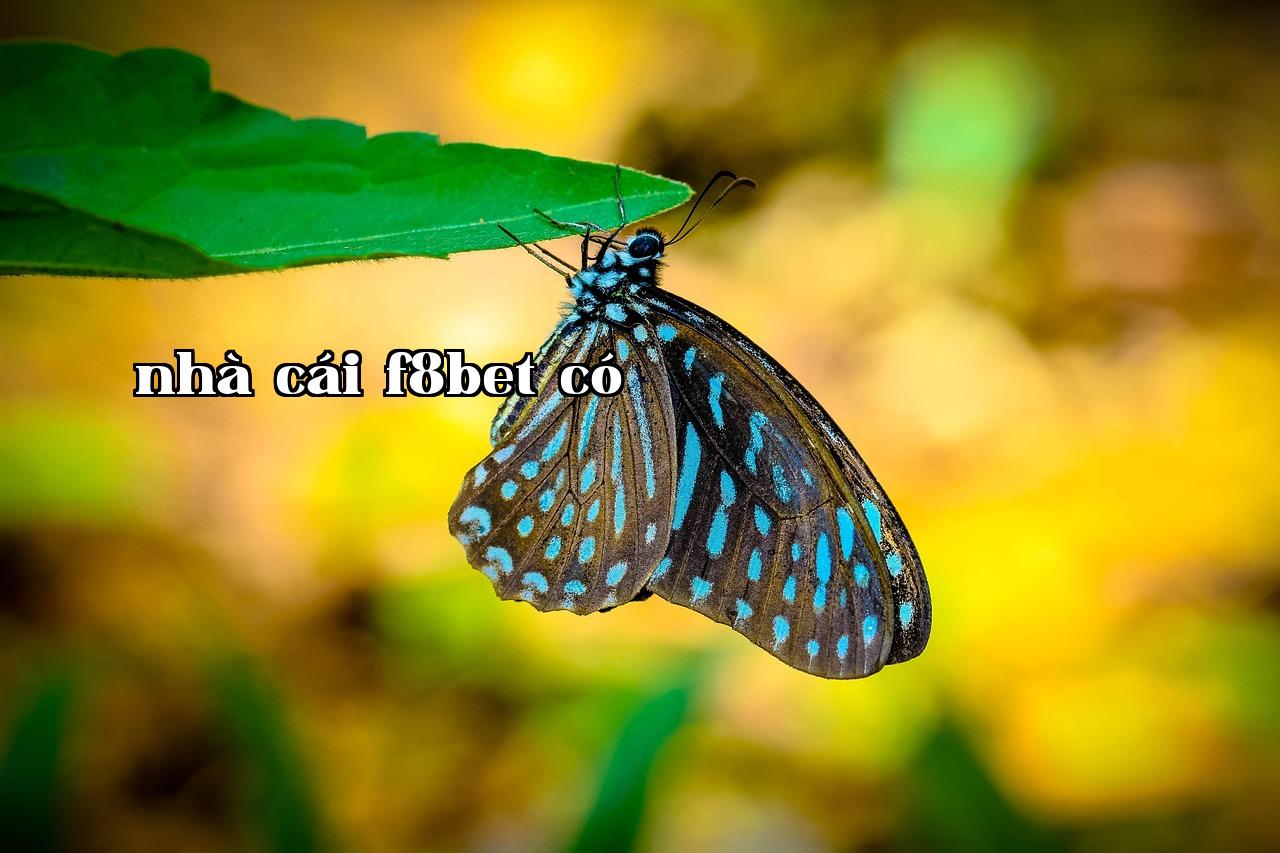 Featured image of post Jona Du ngoạn vũ trụ - w88 linkw88