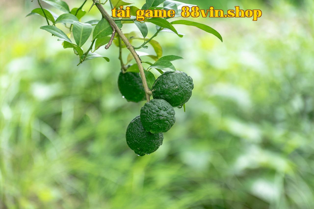 Featured image of post Jona Du Lượt Trong Vũ Trụ - tải game 88vin.shop